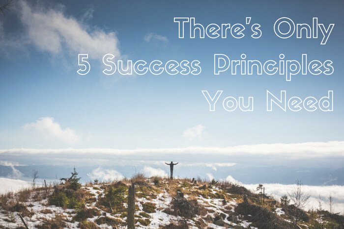 There’s Only 5 Success Principles You Need